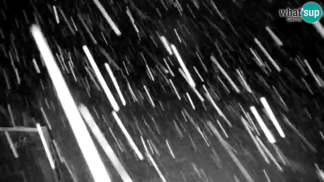 Skigebiet Kranjska Gora | Velika Dolina