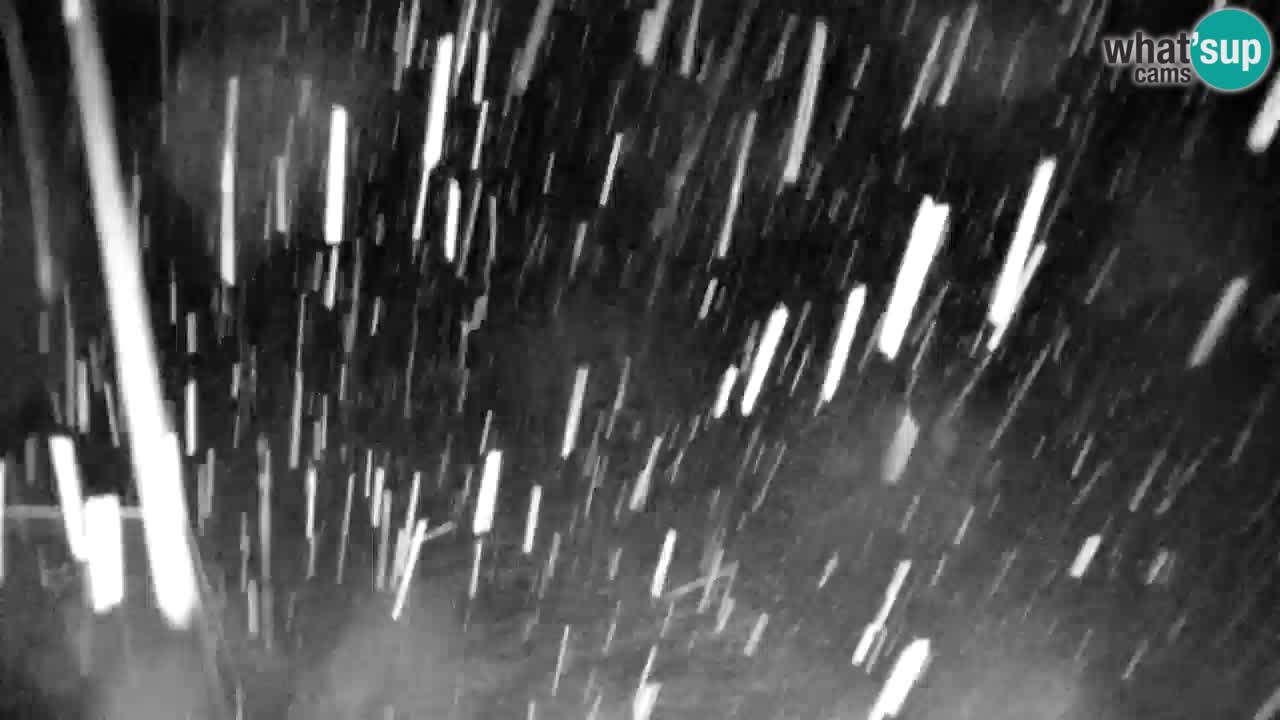 Ski Kranjska Gora | Velika Dolina