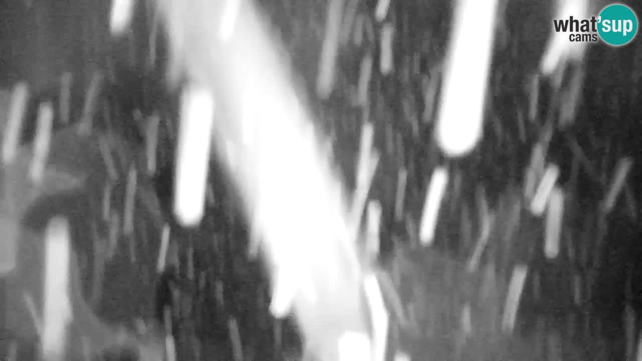 RTC Kranjska Gora | Velika Dolina