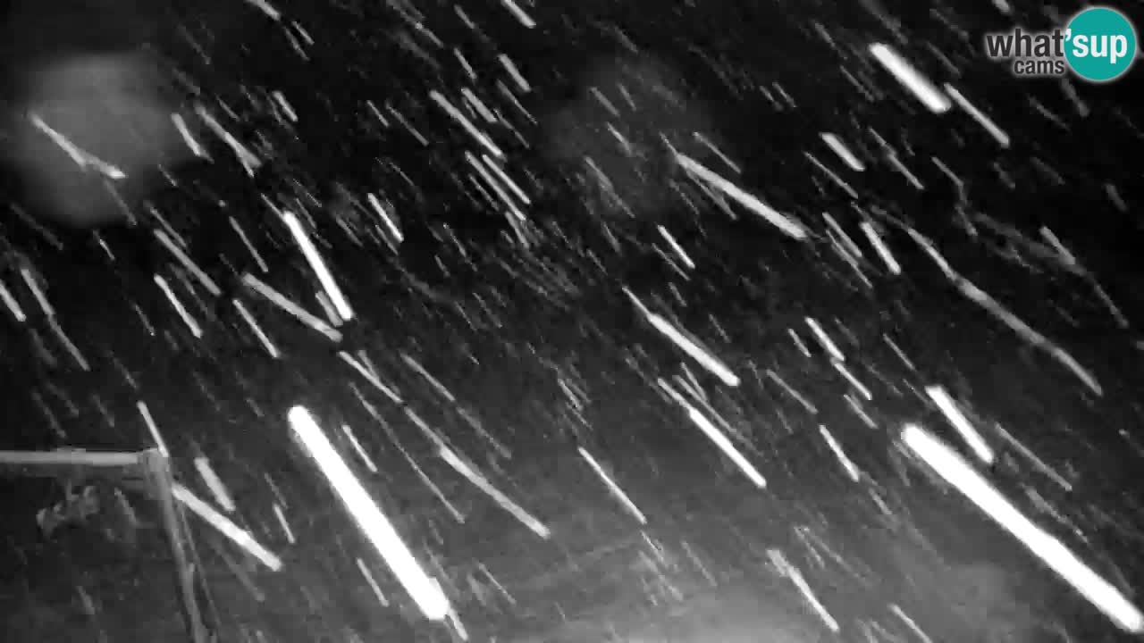 RTC Kranjska Gora | Velika Dolina