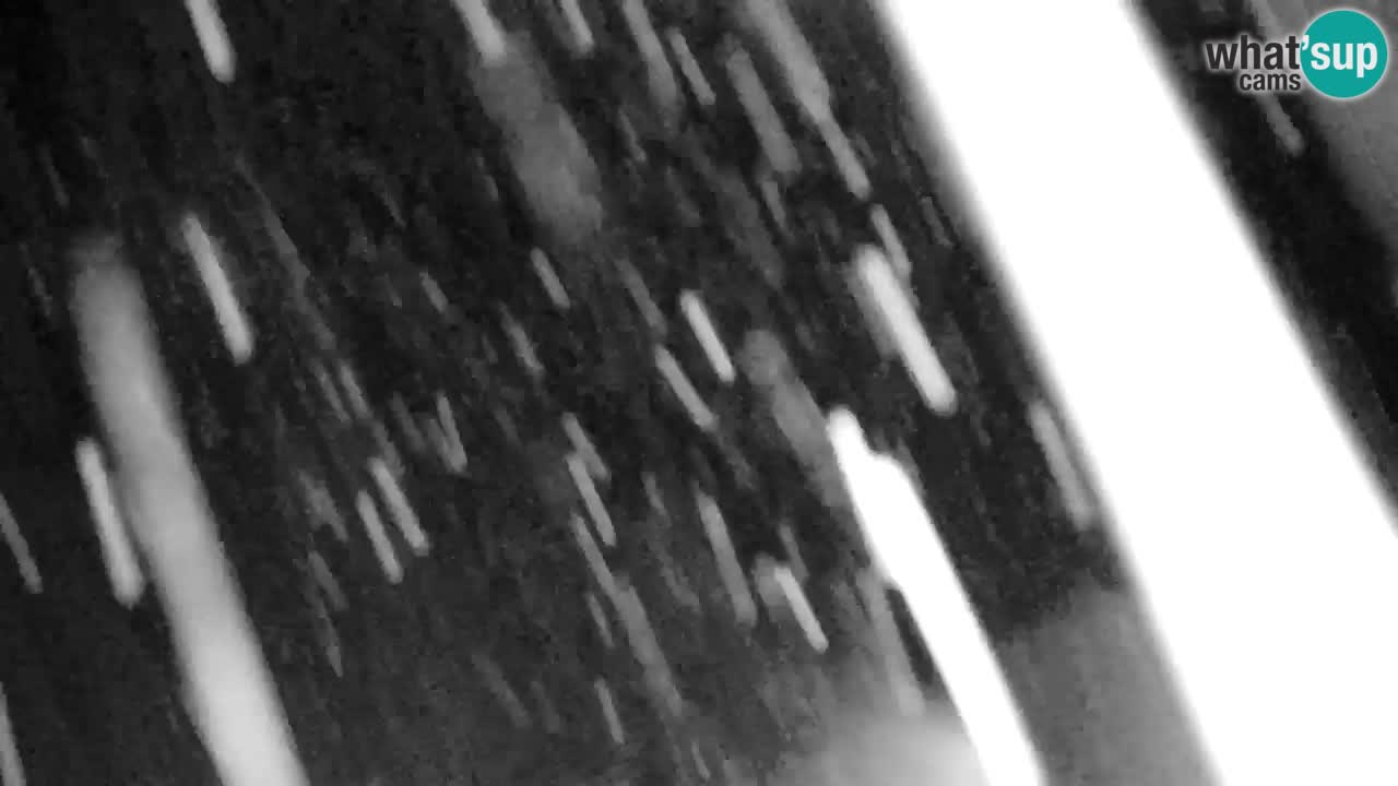 Skigebiet Kranjska Gora | Velika Dolina