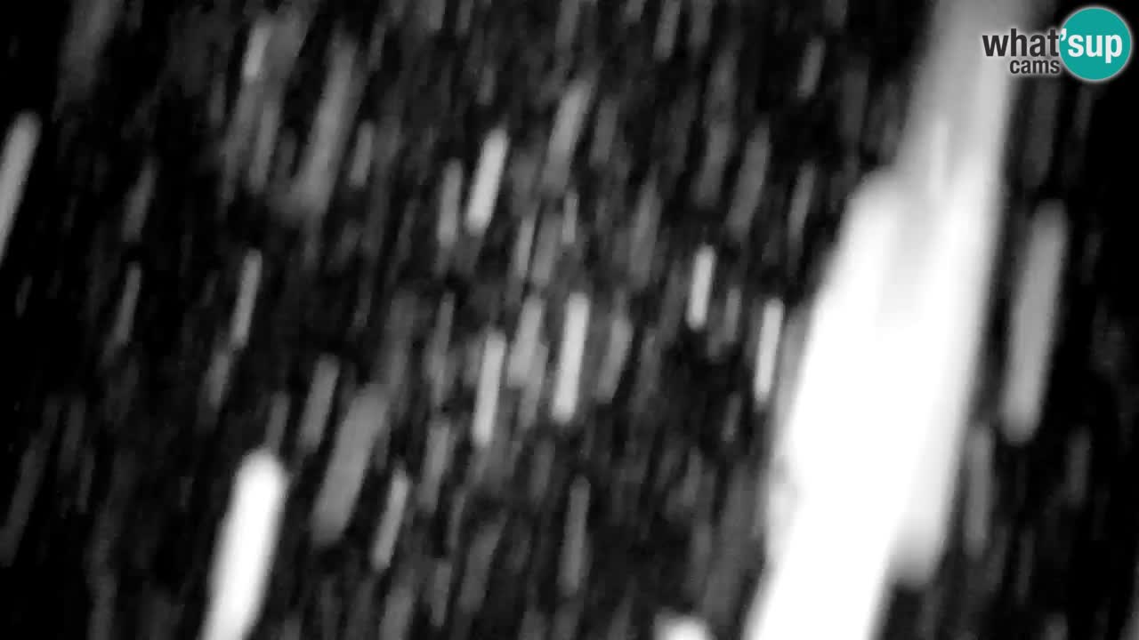 Station de ski Kranjska Gora | Velika Dolina