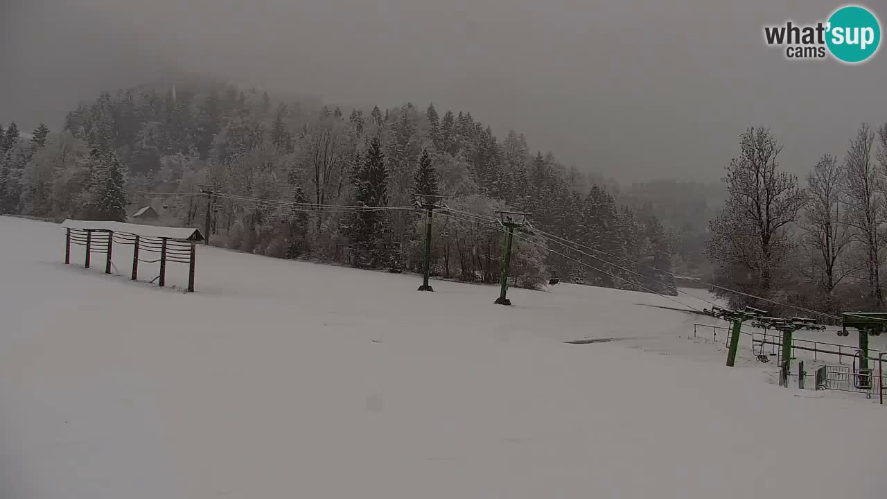 Ski Kranjska Gora | Velika Dolina