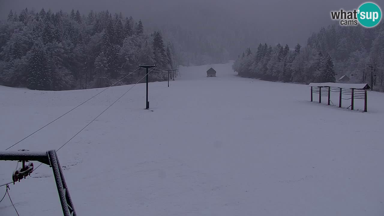 Estación de esquí Kranjska Gora | Velika Dolina