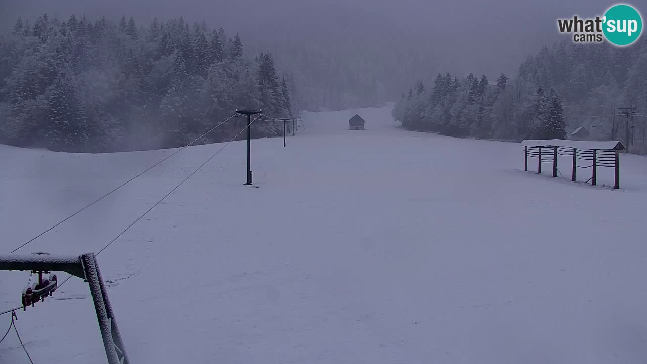 Skigebiet Kranjska Gora | Velika Dolina