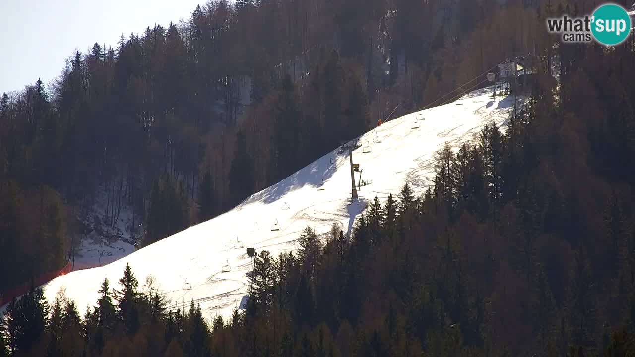 Kranjska Gora | Velika Dolina