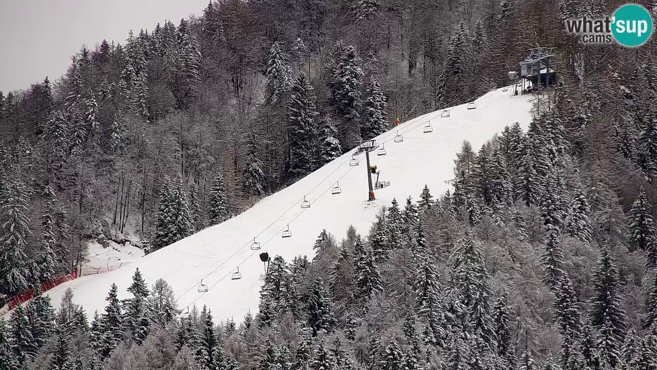 Kranjska Gora | Velika Dolina