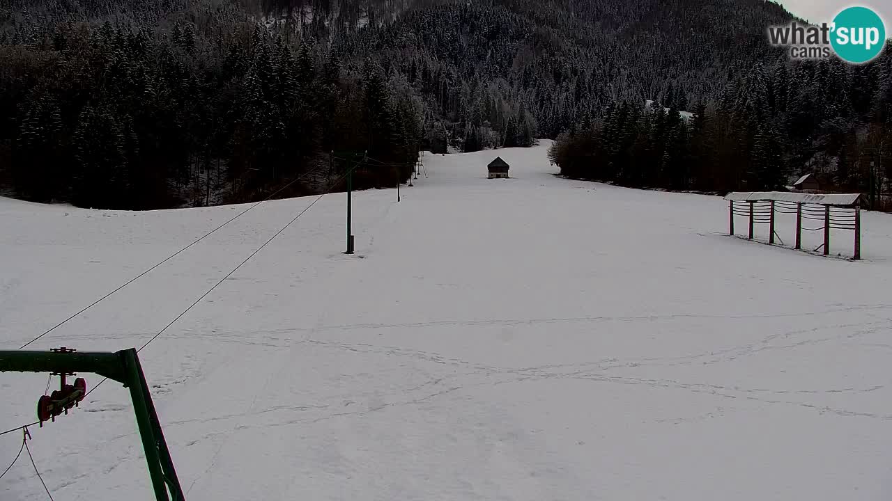 Skijanje Kranjska Gora | Velika Dolina