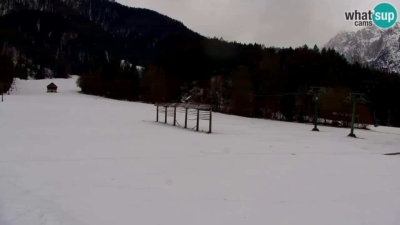 Skigebiet Kranjska Gora | Velika Dolina