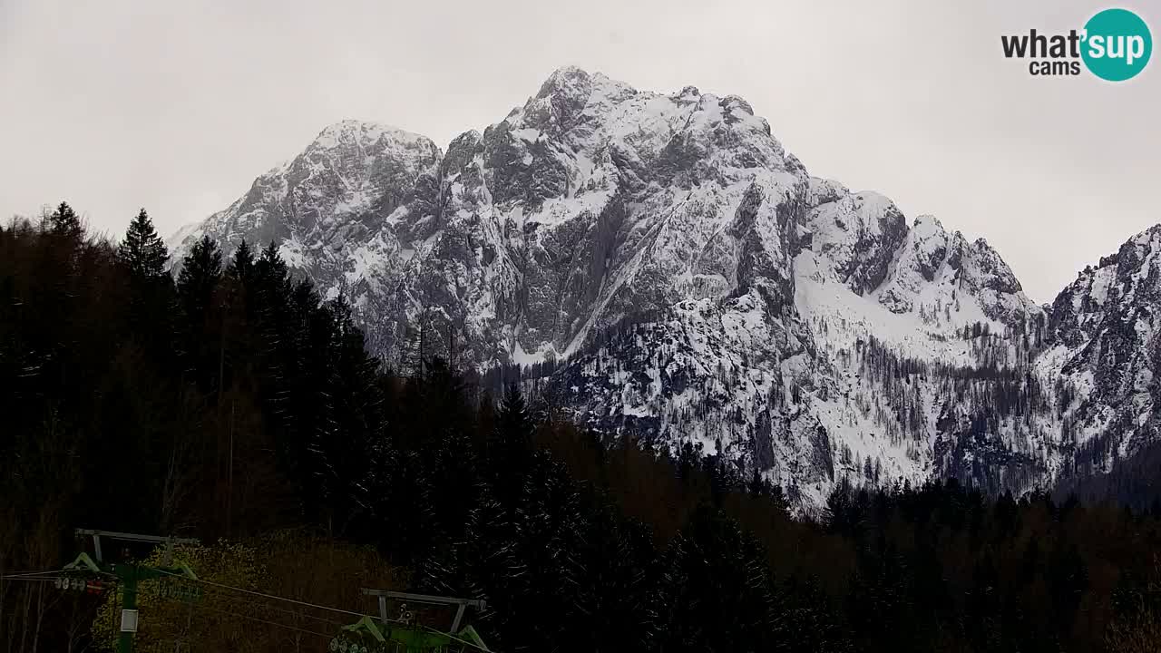 Ski Kranjska Gora | Velika Dolina