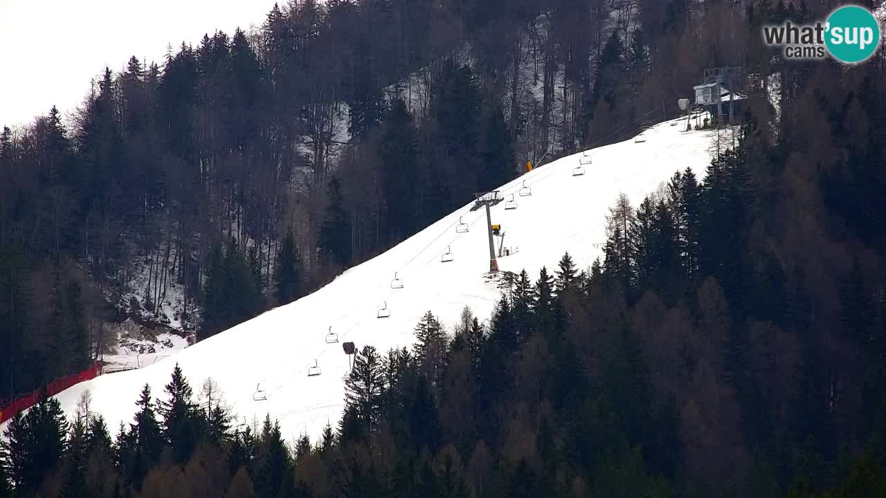 Ski Kranjska Gora | Velika Dolina