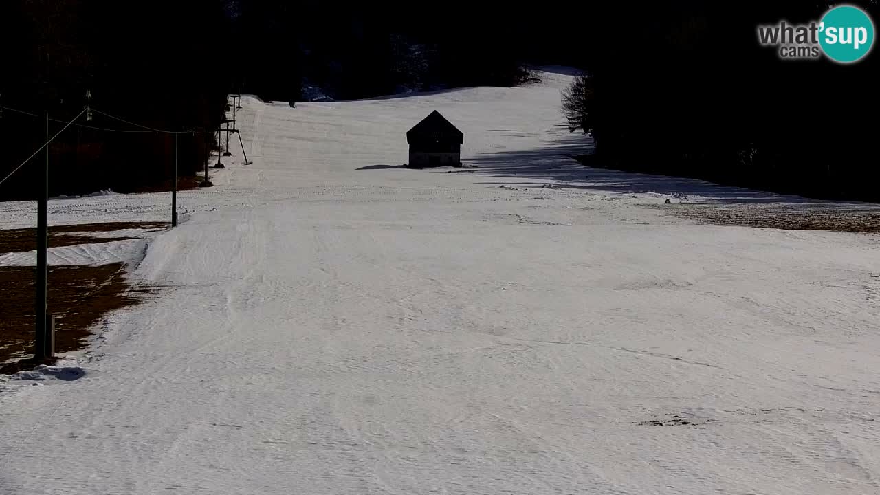 Skigebiet Kranjska Gora | Velika Dolina