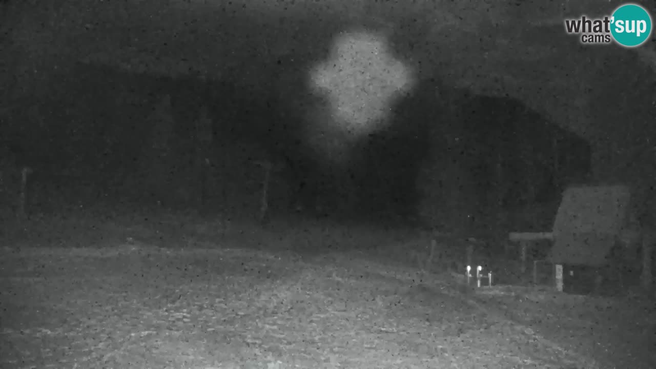 Ski Kranjska Gora | Velika Dolina