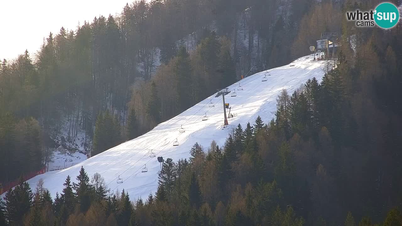 Ski Kranjska Gora | Velika Dolina