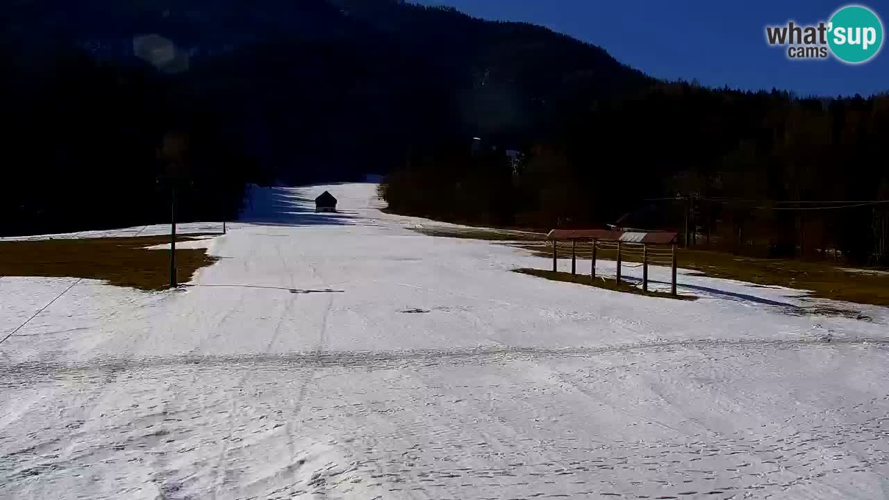 Ski Kranjska Gora | Velika Dolina