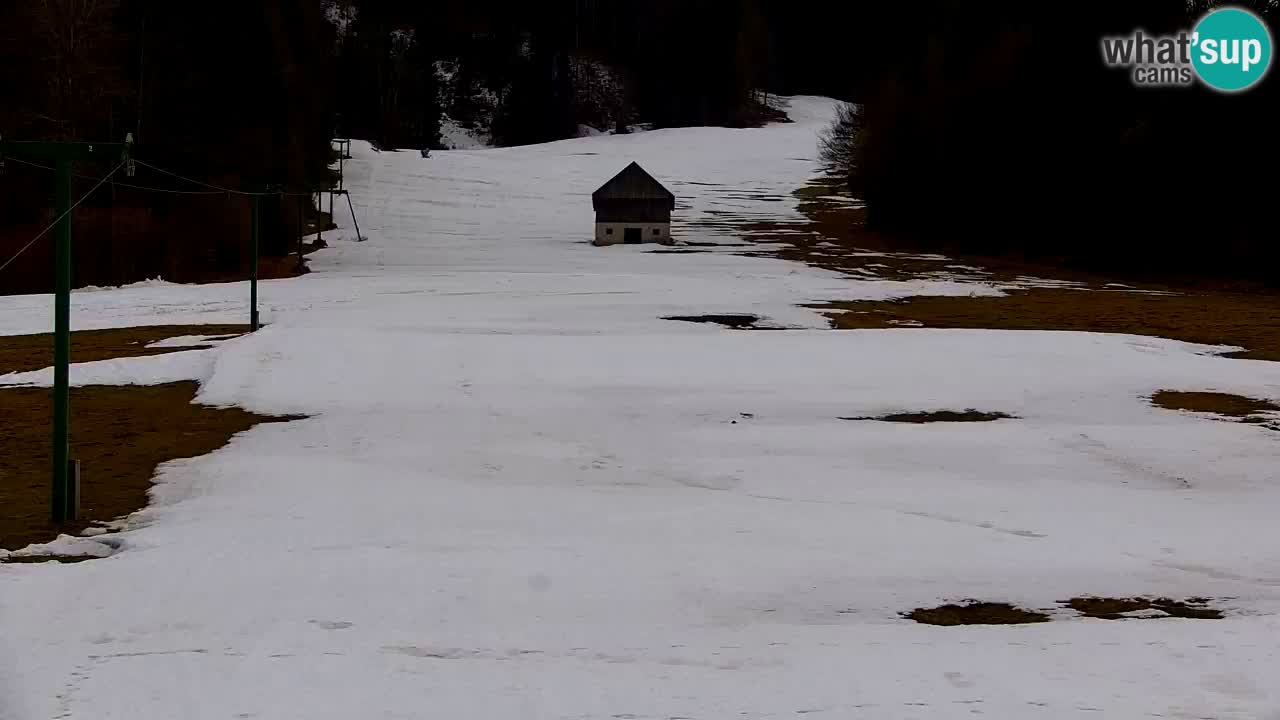 Skigebiet Kranjska Gora | Velika Dolina