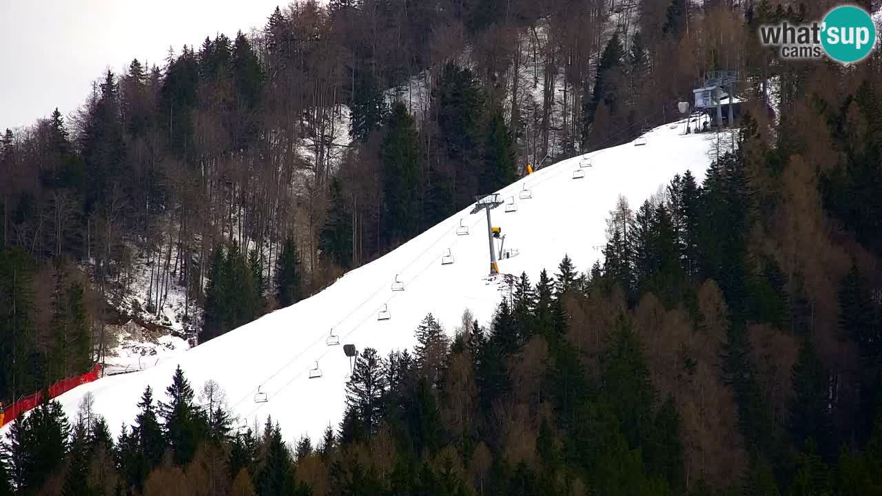 Estación de esquí Kranjska Gora | Velika Dolina