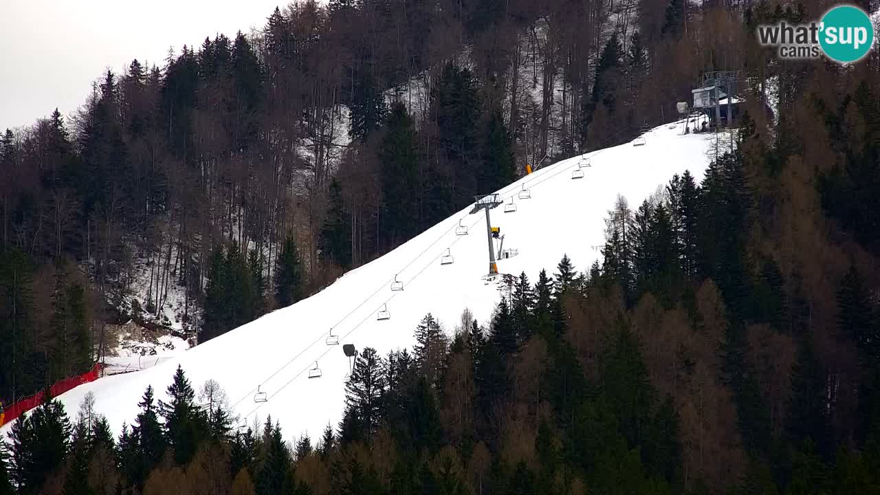 Ski Kranjska Gora | Velika Dolina