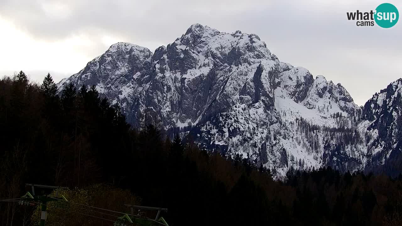 Skigebiet Kranjska Gora | Velika Dolina