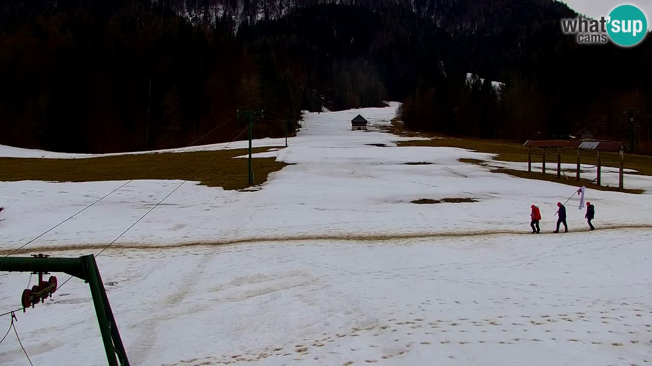Ski Kranjska Gora | Velika Dolina
