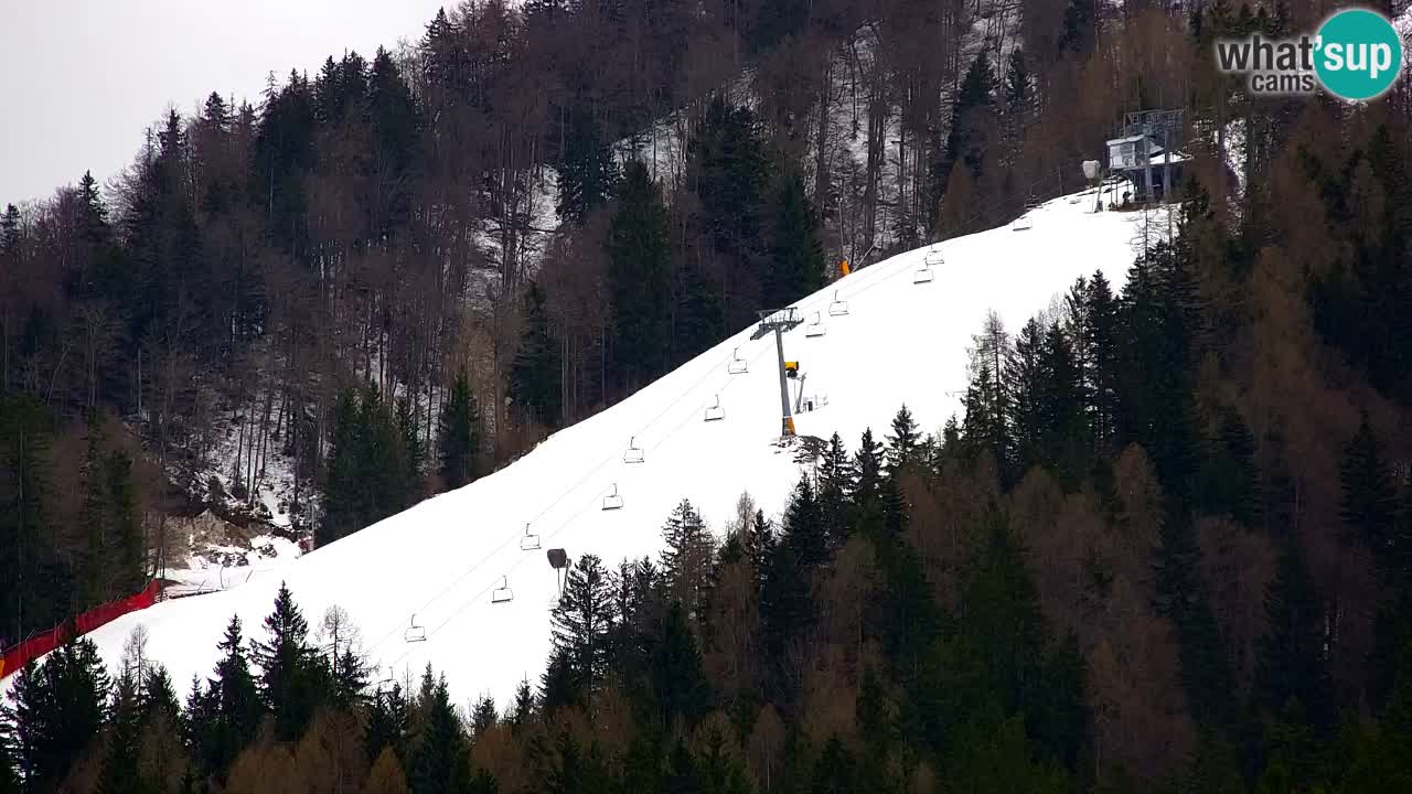 Station de ski Kranjska Gora | Velika Dolina