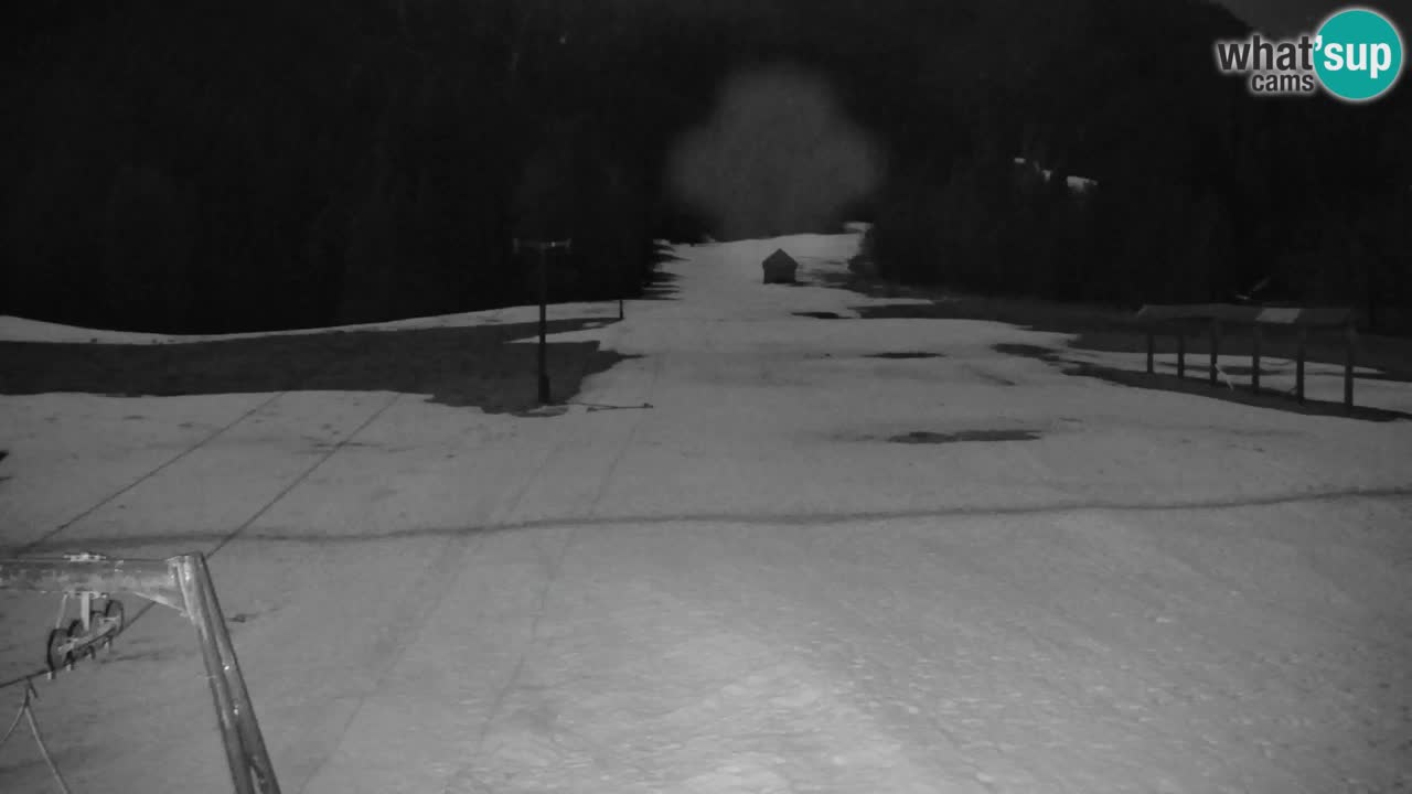 Skigebiet Kranjska Gora | Velika Dolina