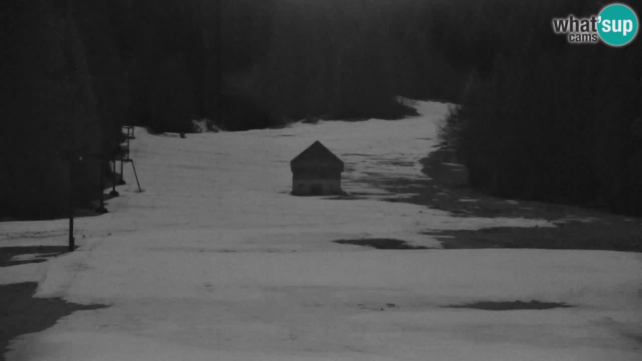 Skigebiet Kranjska Gora | Velika Dolina