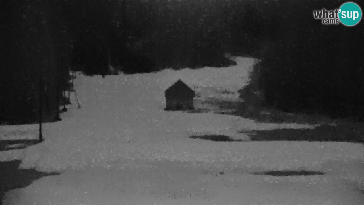 Skigebiet Kranjska Gora | Velika Dolina