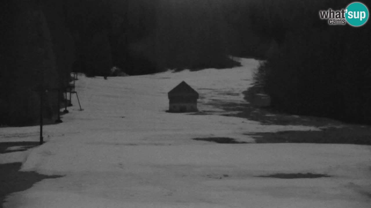 Ski Kranjska Gora | Velika Dolina