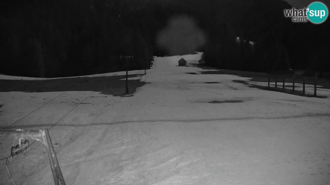 Skigebiet Kranjska Gora | Velika Dolina