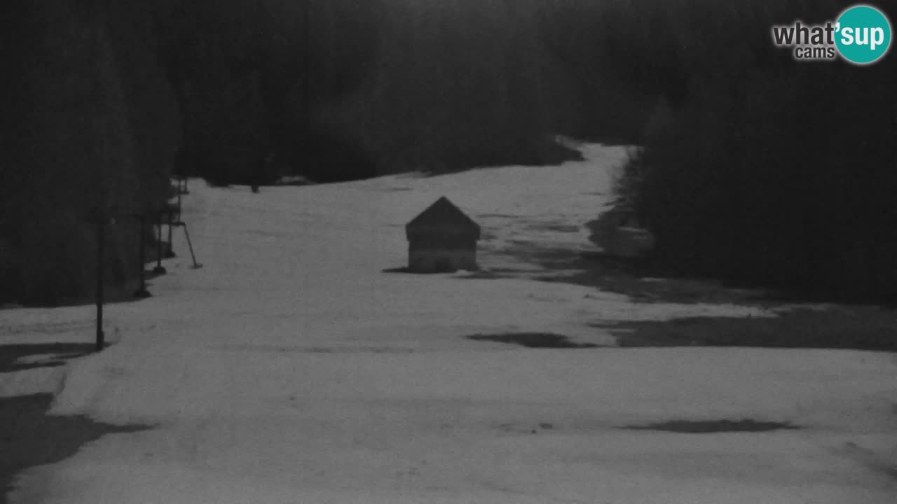 Ski Kranjska Gora | Velika Dolina