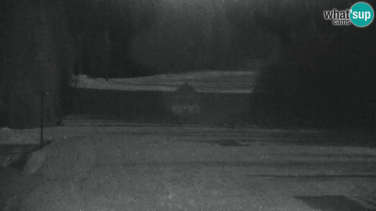 Estación de esquí Kranjska Gora | Velika Dolina