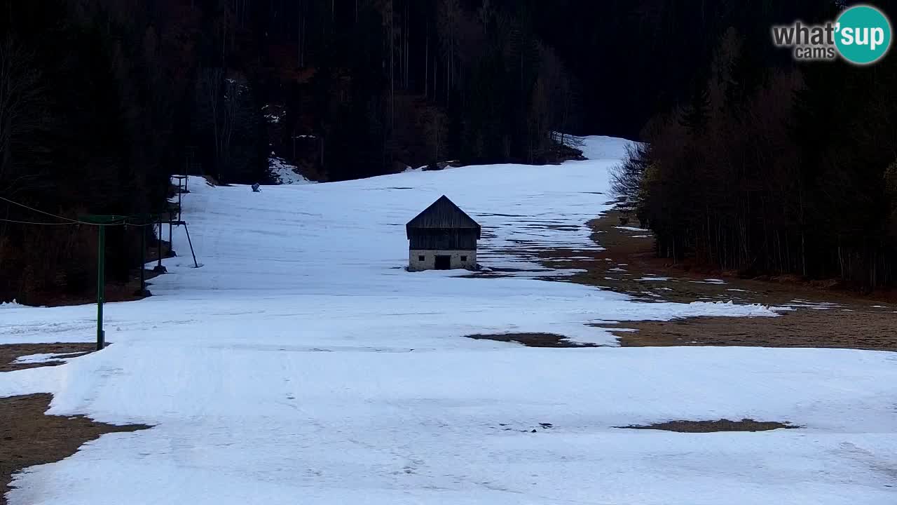 Ski Kranjska Gora | Velika Dolina