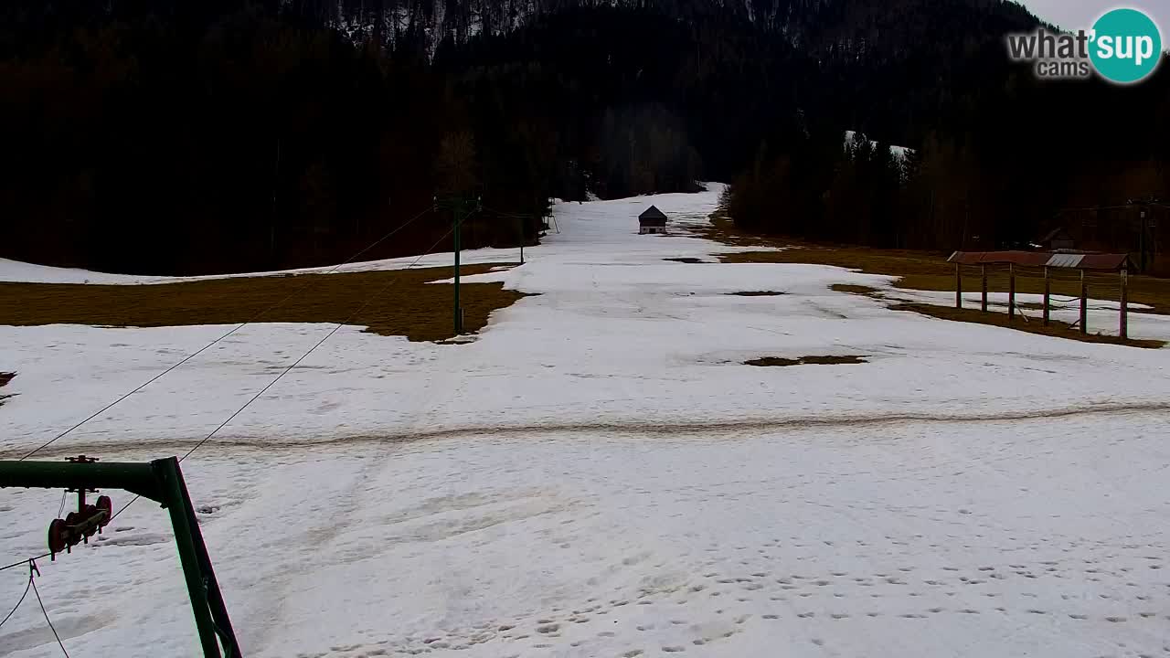Ski Kranjska Gora | Velika Dolina