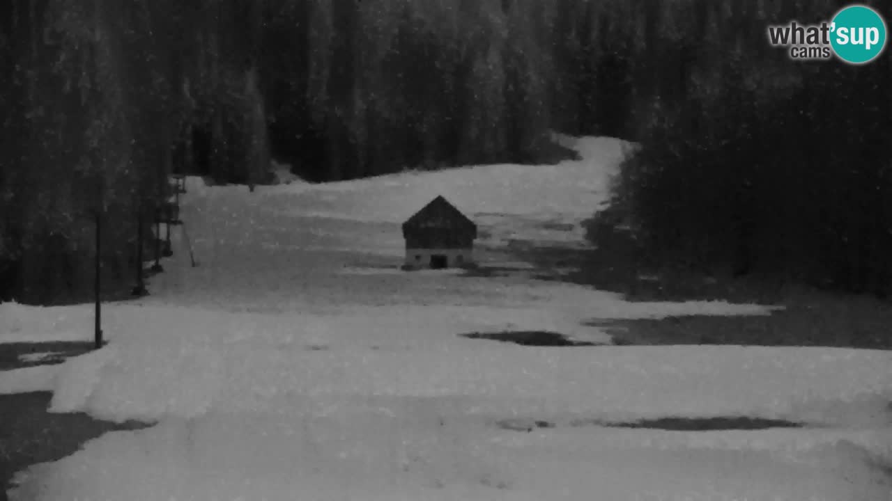 Ski Kranjska Gora | Velika Dolina