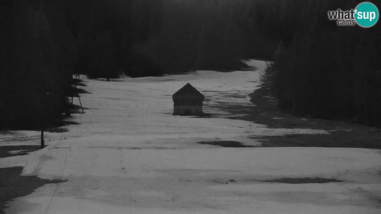Ski Kranjska Gora | Velika Dolina