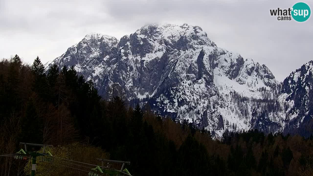 Ski Kranjska Gora | Velika Dolina