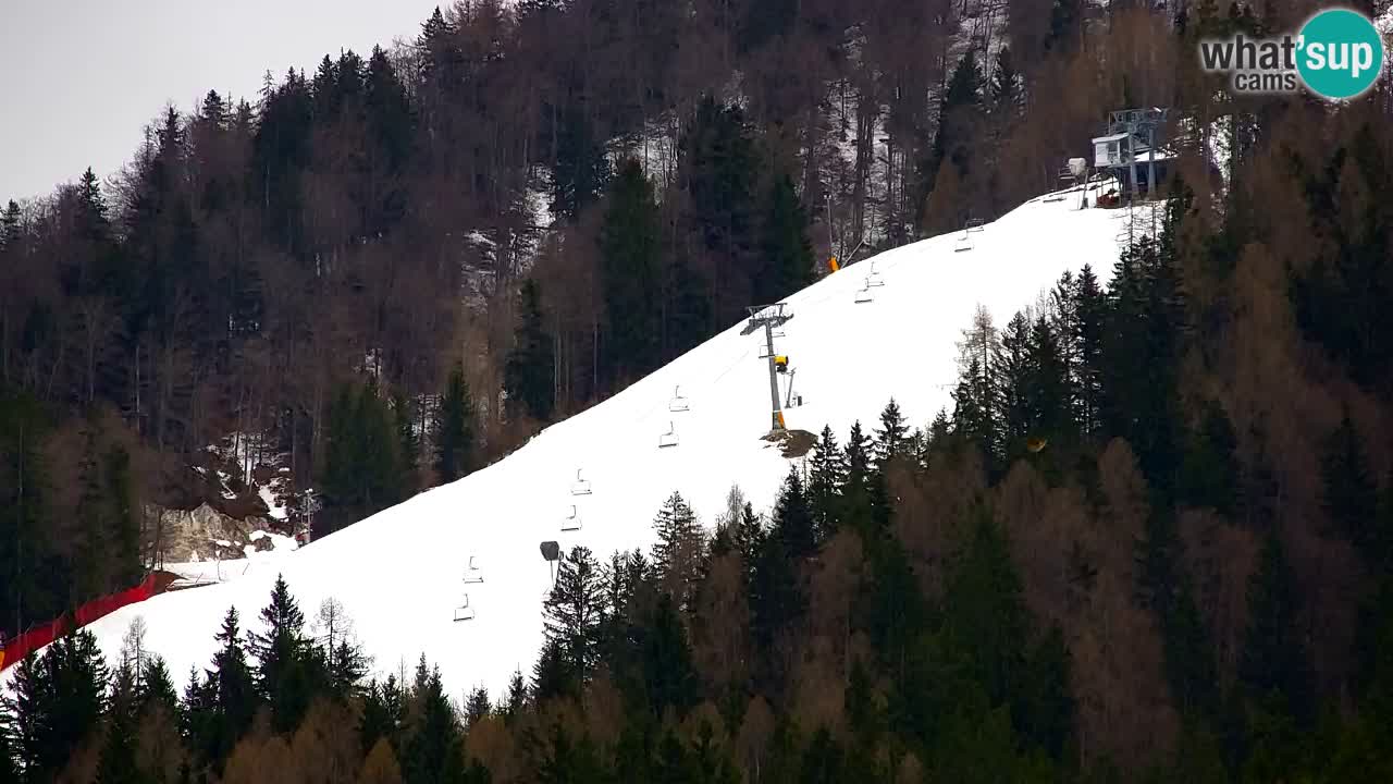 Skigebiet Kranjska Gora | Velika Dolina