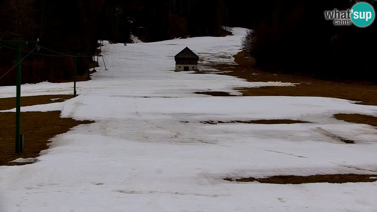 Ski Kranjska Gora | Velika Dolina