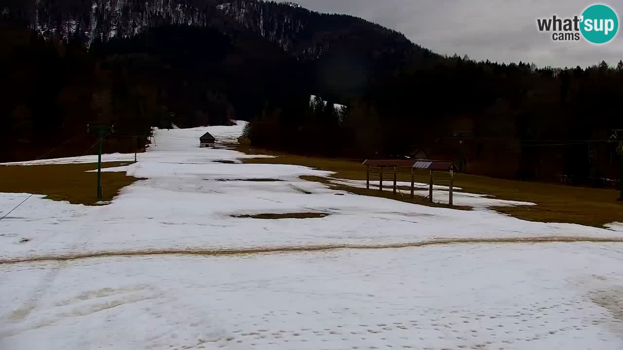 Skigebiet Kranjska Gora | Velika Dolina