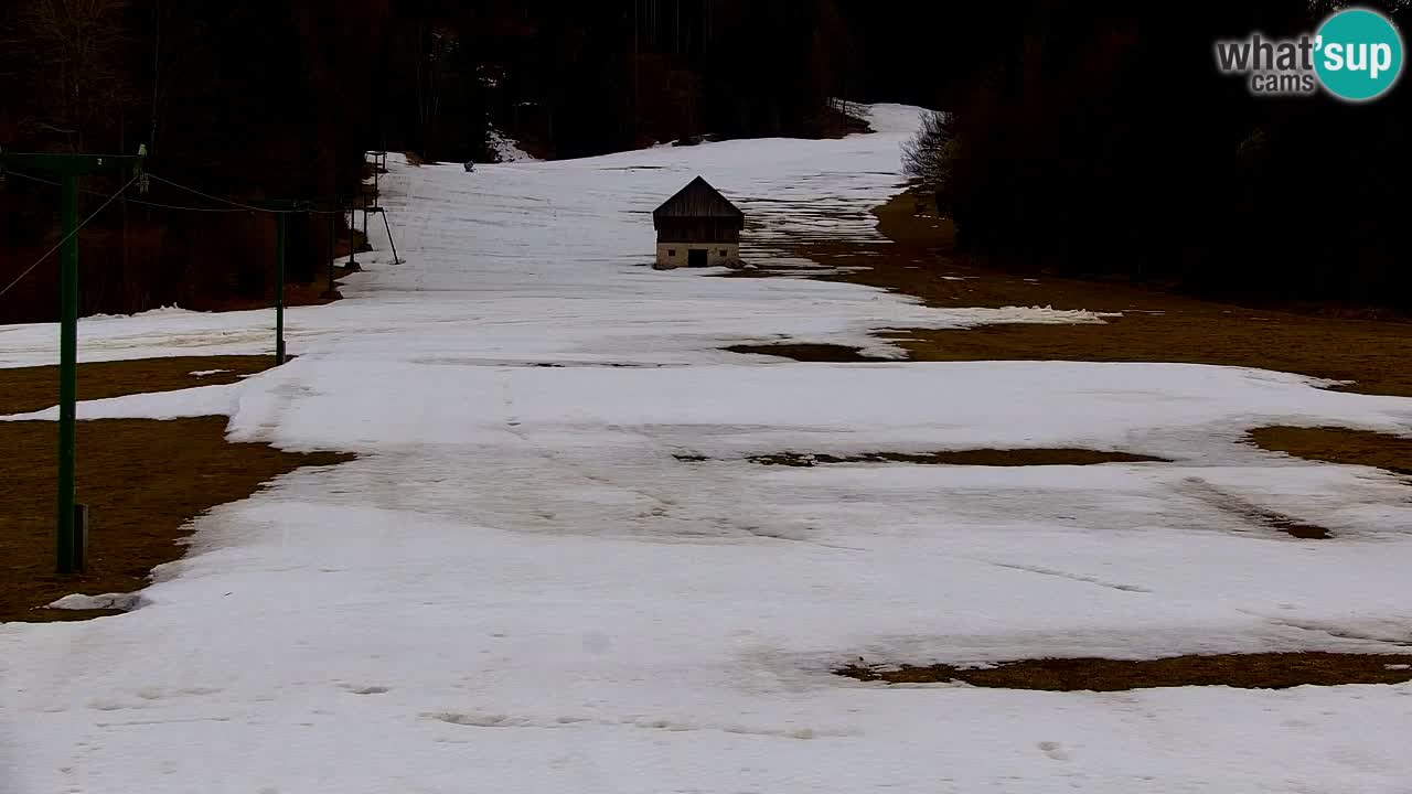 Ski Kranjska Gora | Velika Dolina