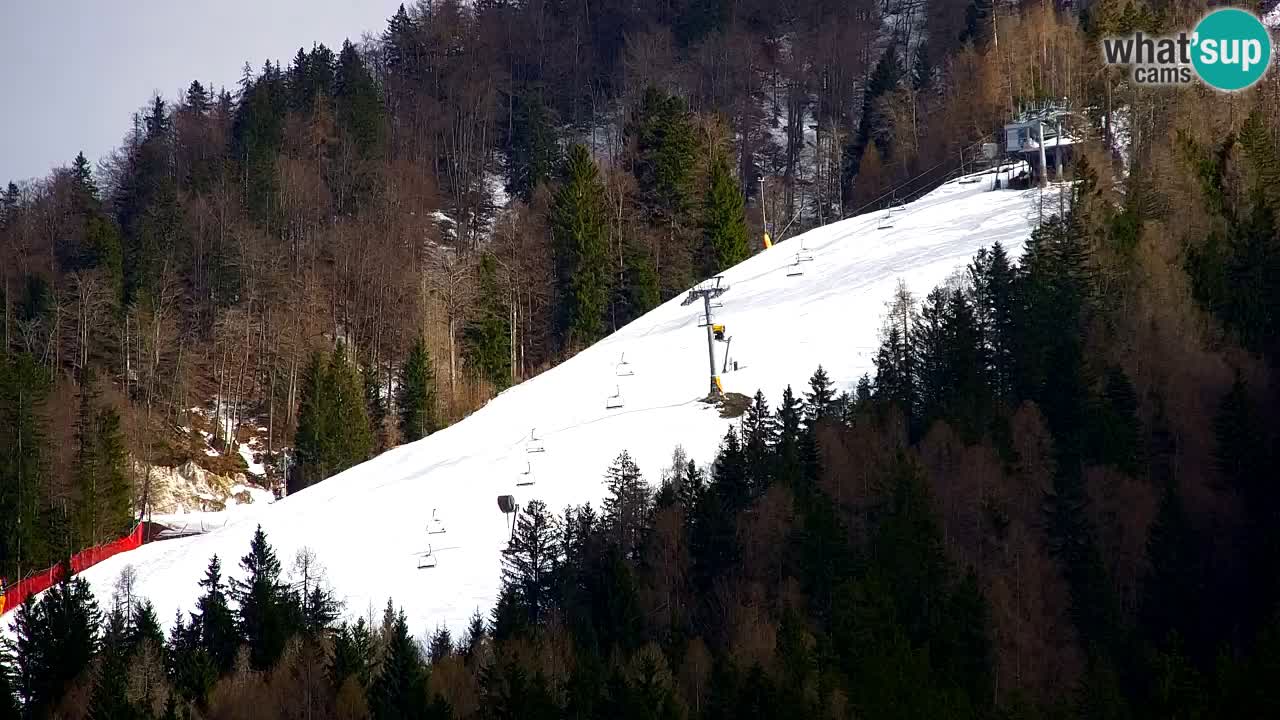RTC Kranjska Gora | Velika Dolina