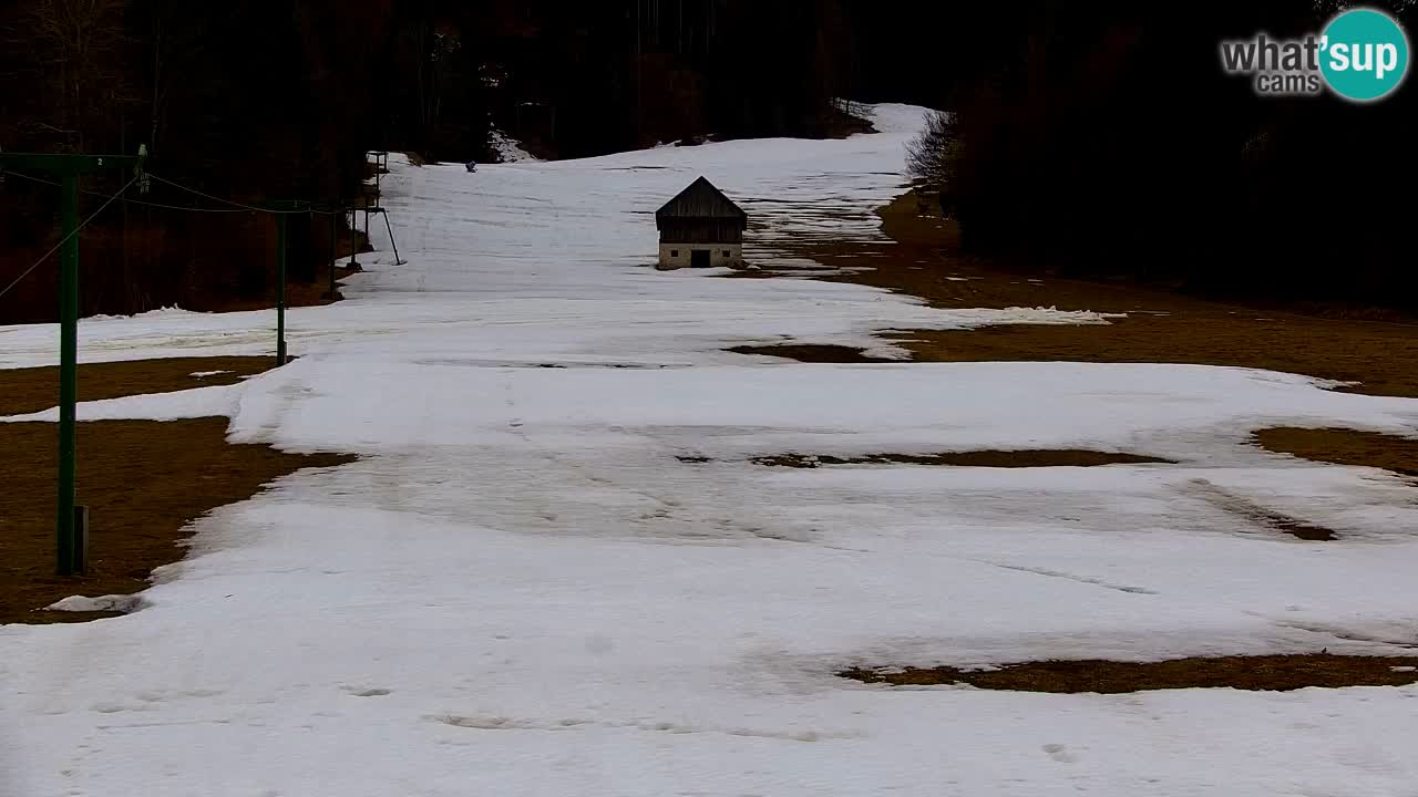 Skigebiet Kranjska Gora | Velika Dolina