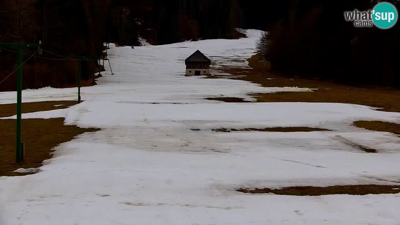 Skigebiet Kranjska Gora | Velika Dolina