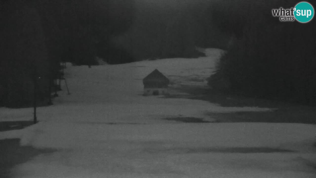 Ski Kranjska Gora | Velika Dolina