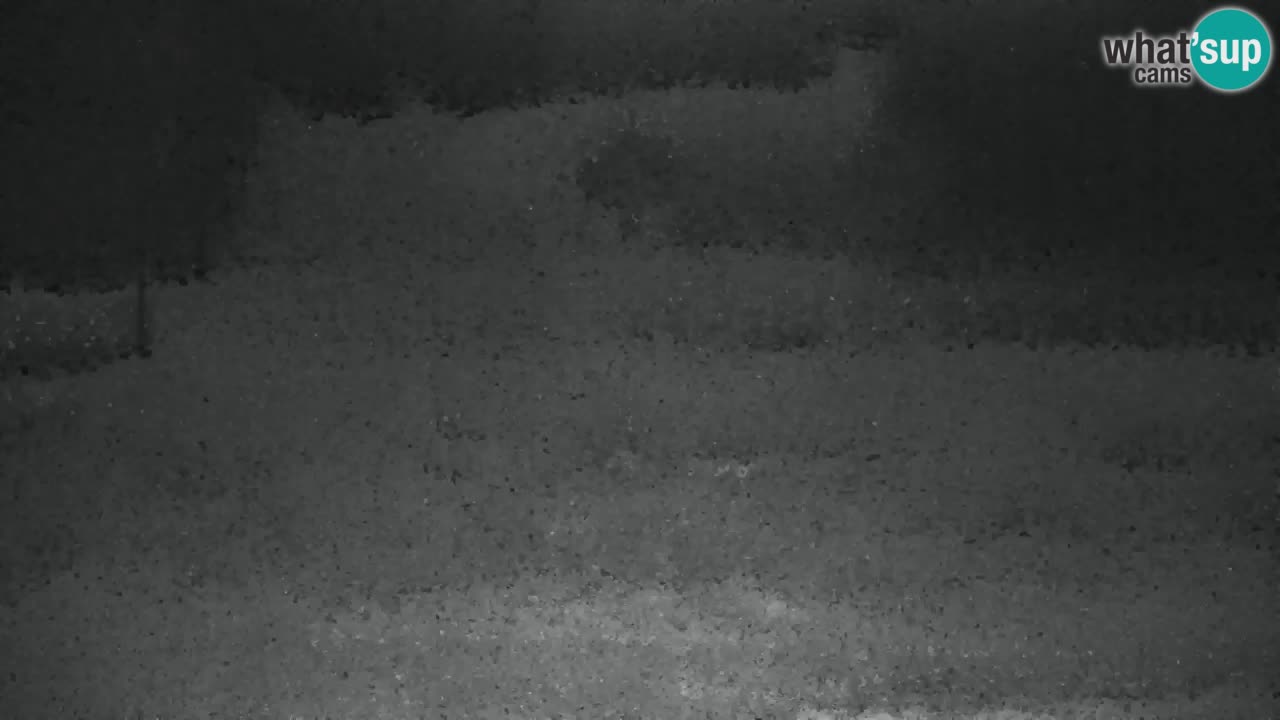 Skigebiet Kranjska Gora | Velika Dolina