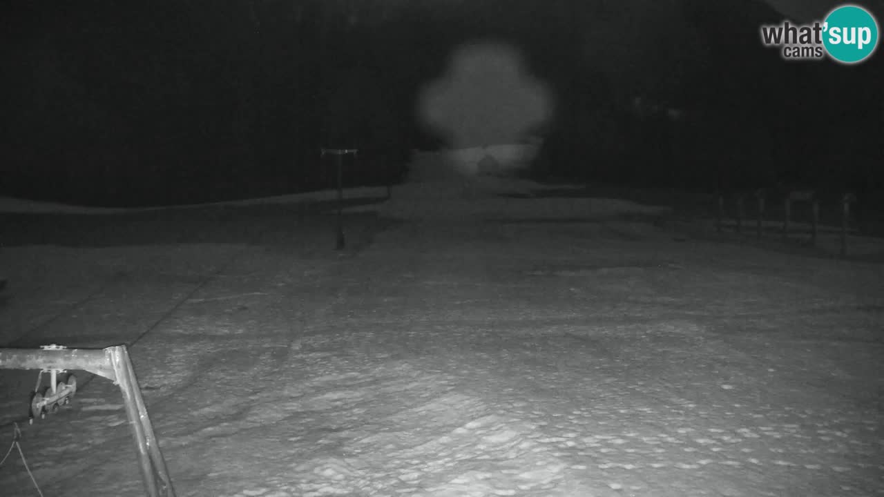 Skigebiet Kranjska Gora | Velika Dolina