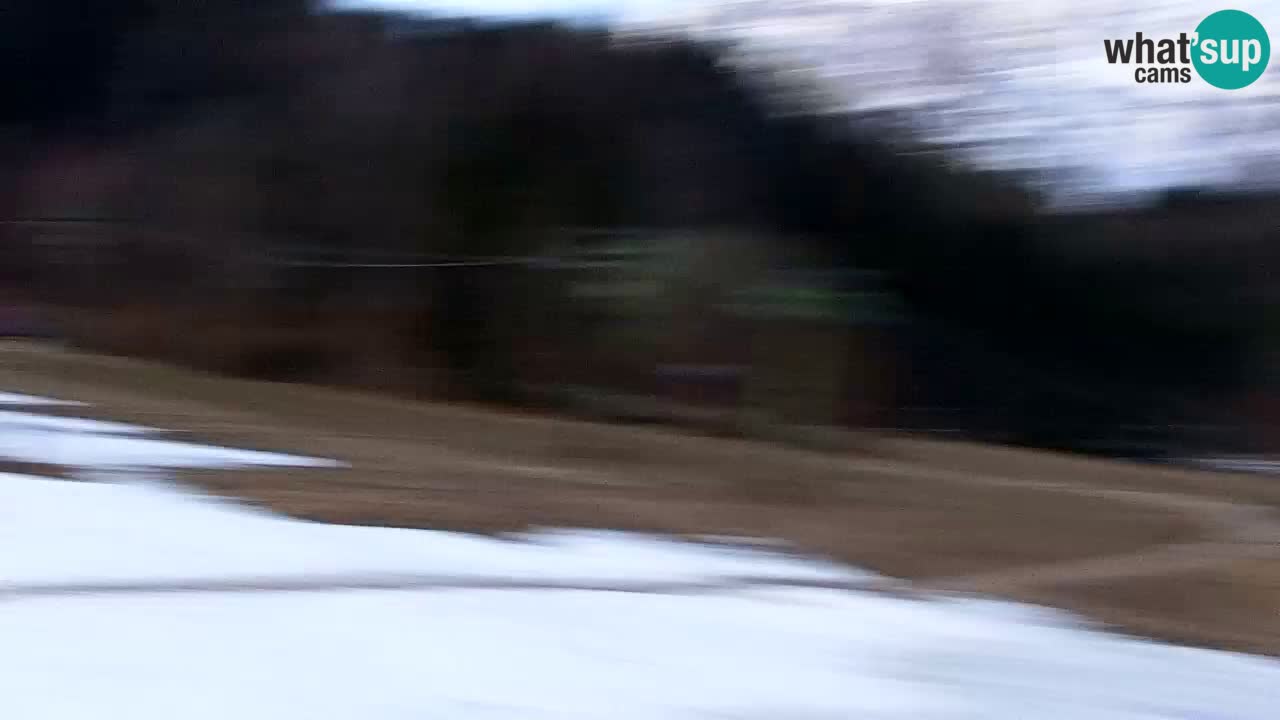 Ski Kranjska Gora | Velika Dolina