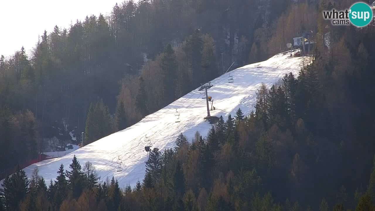 RTC Kranjska Gora | Velika Dolina