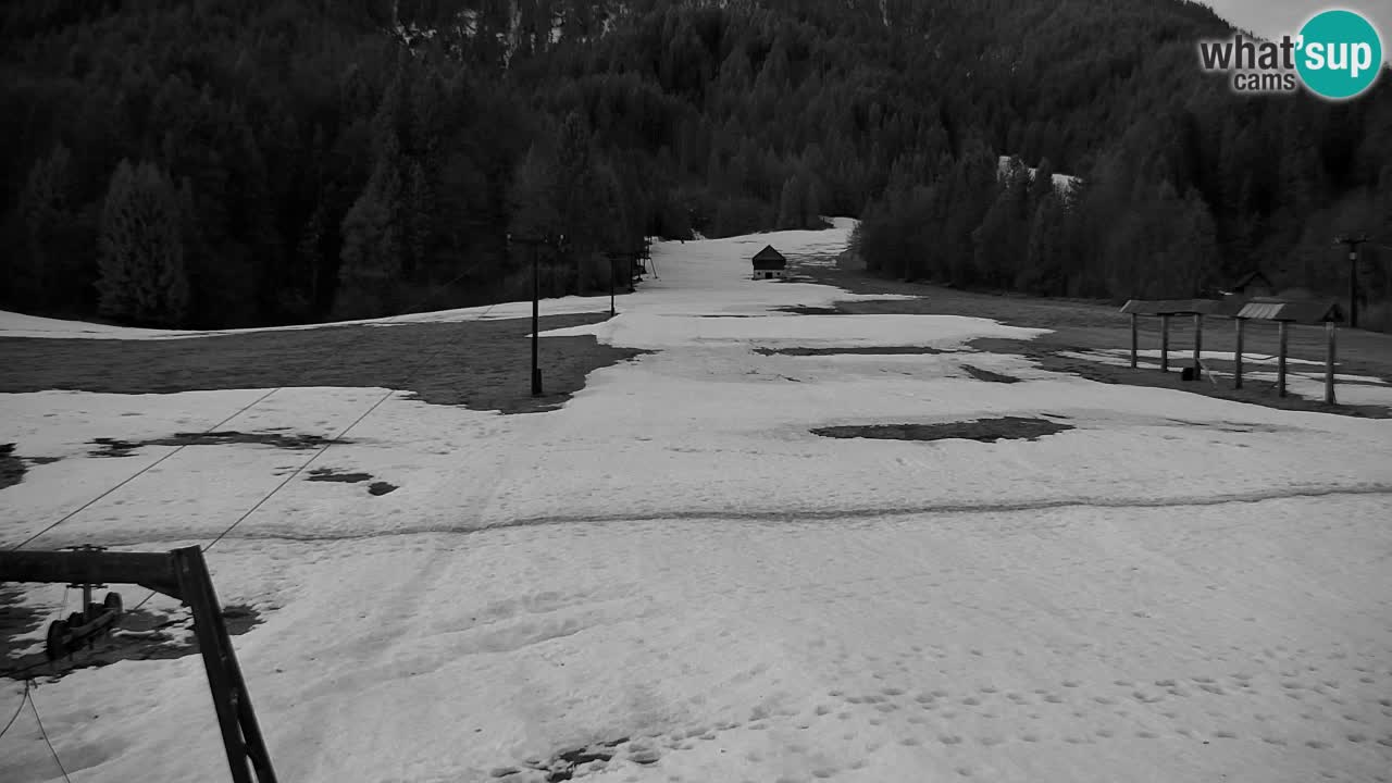 Skigebiet Kranjska Gora | Velika Dolina